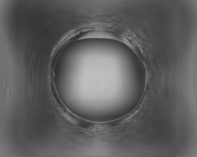 X0000082150101200702092201