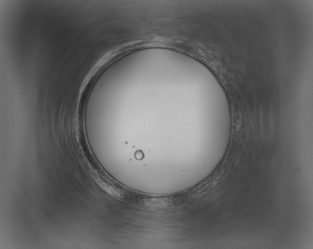 X0000082150102200702092201