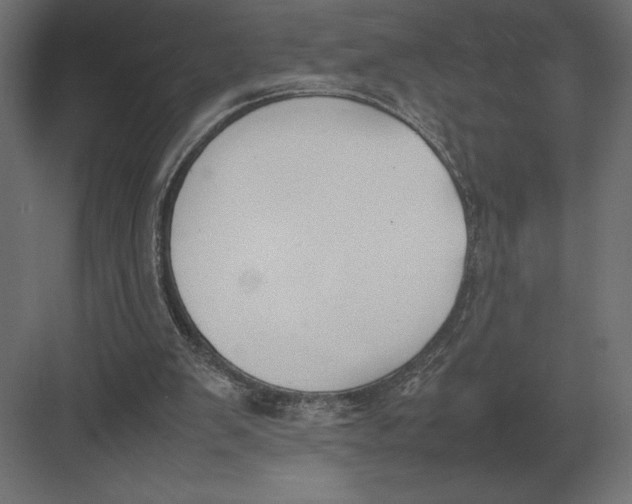 X0000082150103200702092201