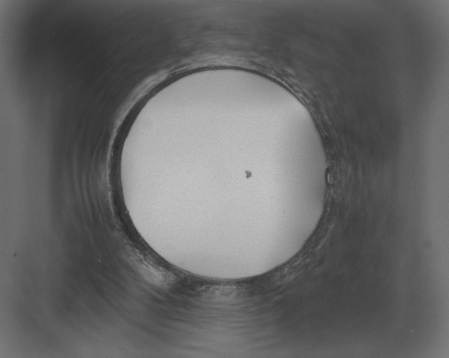 X0000082150104200702092201