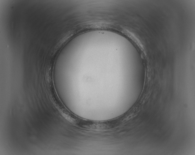 X0000082150105200702092201