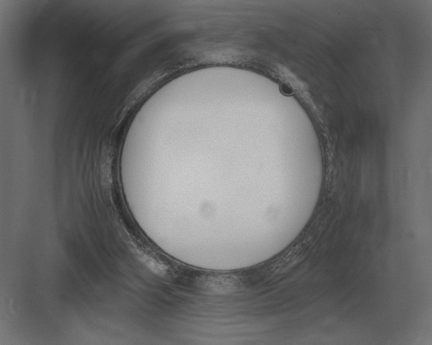 X0000082150106200702092201