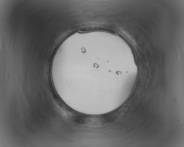 X0000082150107200702092201