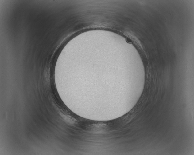 X0000082150108200702092201