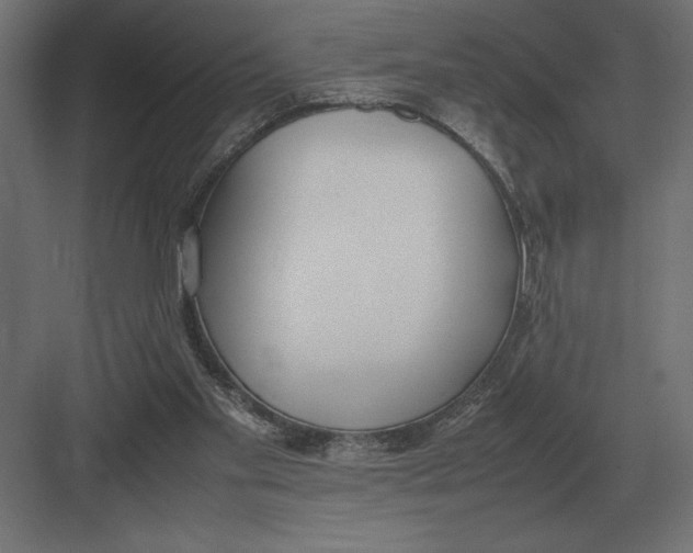 X0000082150109200702092201