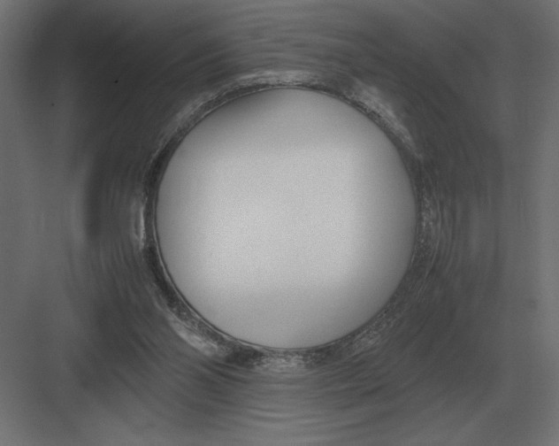 X0000082150110200702092201