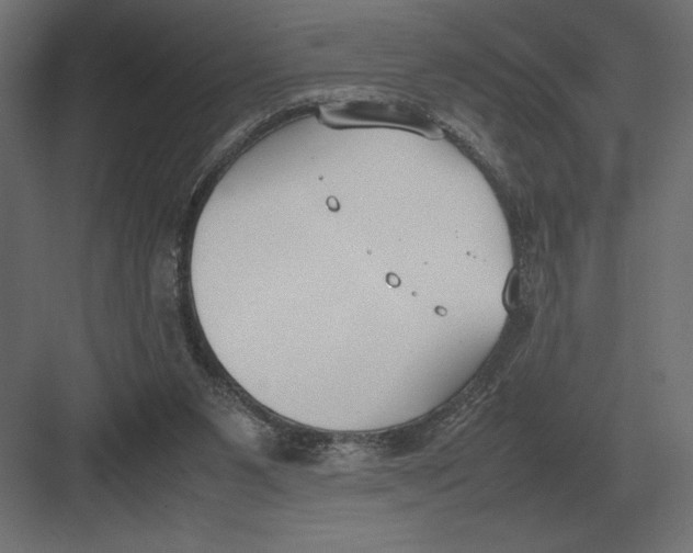 X0000082150111200702092201