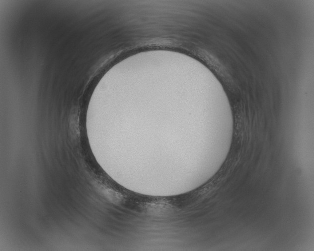 X0000082150112200702092201