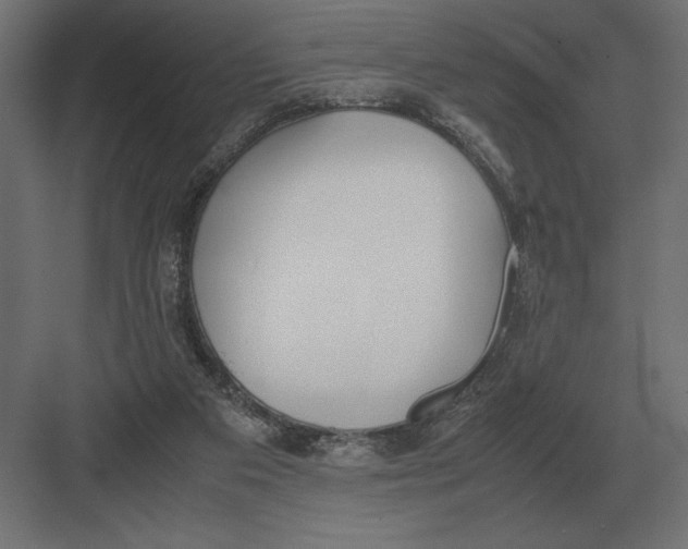 X0000082150113200702092201