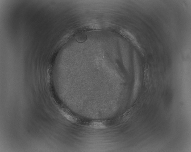 X0000082150114200702092201