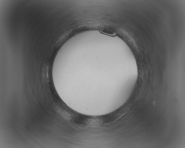 X0000082150115200702092201