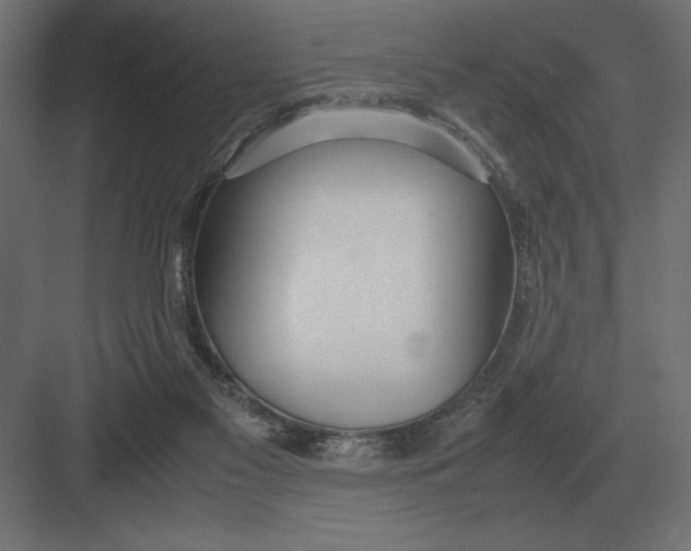 X0000082150117200702092201