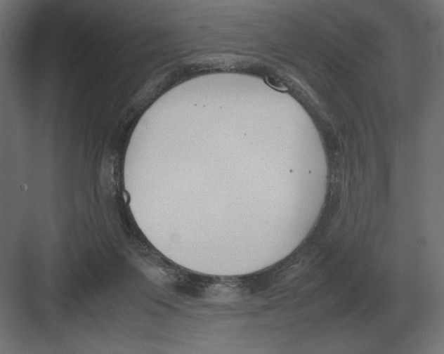 X0000082150119200702092201