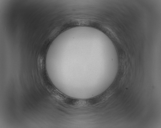 X0000082150123200702092201