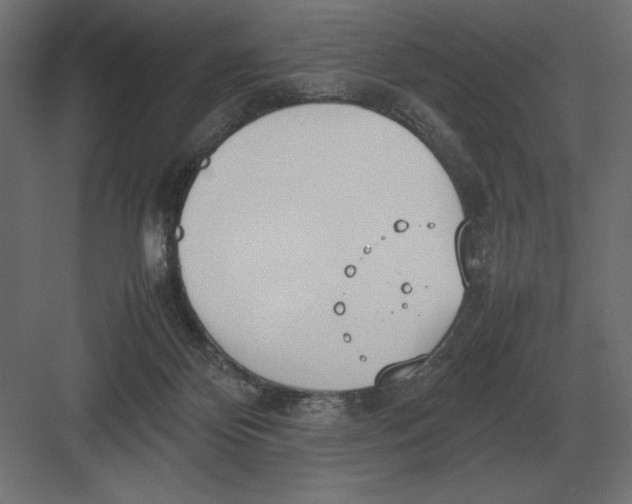 X0000082150124200702092201