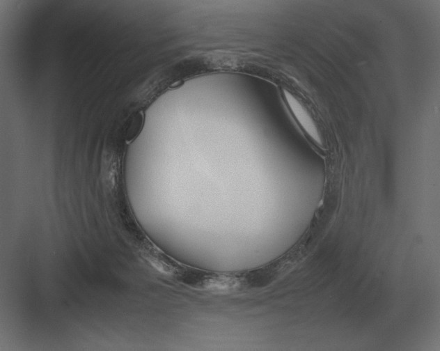 X0000082150125200702092201