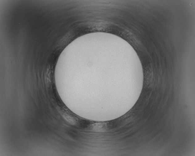 X0000082150126200702092201