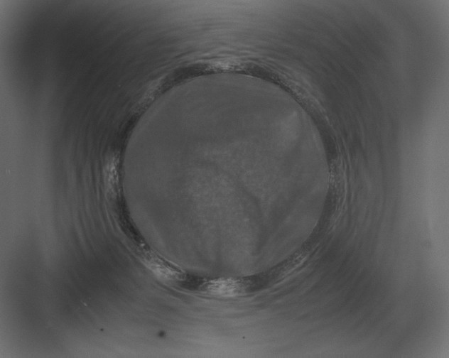 X0000082150127200702092201