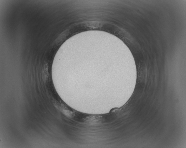 X0000082150128200702092201