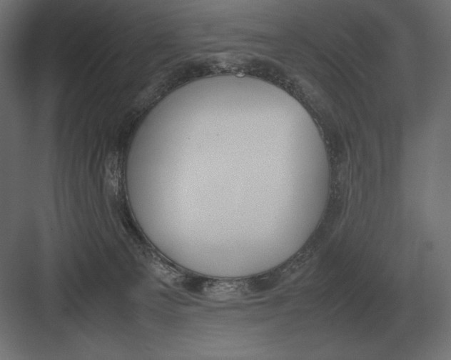 X0000082150129200702092201