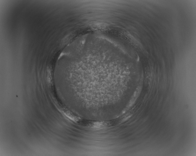 X0000082150130200702092201