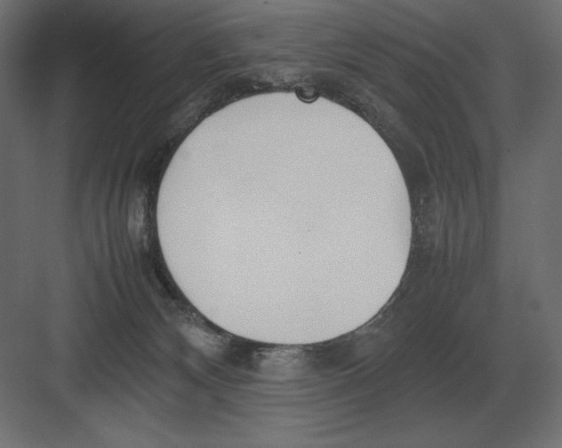 X0000082150132200702092201