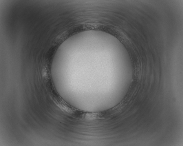 X0000082150134200702092201