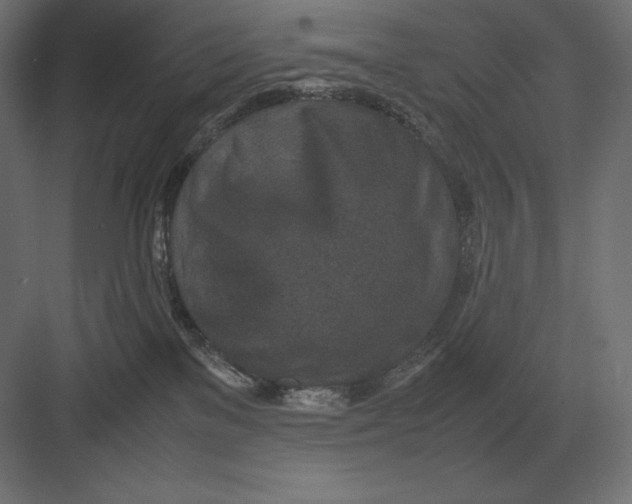 X0000082150137200702092201