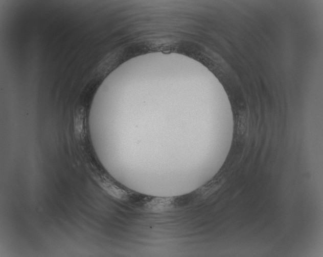 X0000082150138200702092201