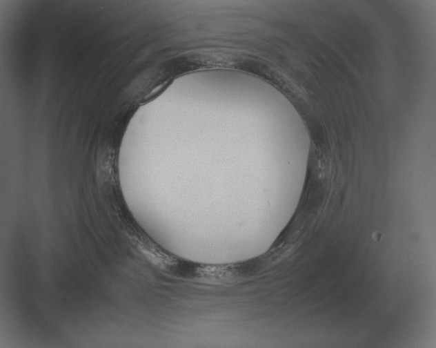 X0000082150141200702092201