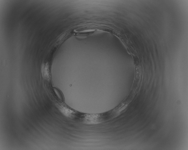 X0000082150143200702092201