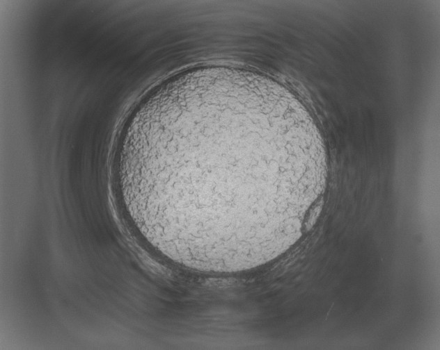 X0000082150145200702092200