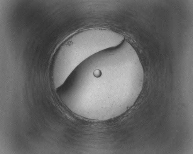 X0000082150146200702092200