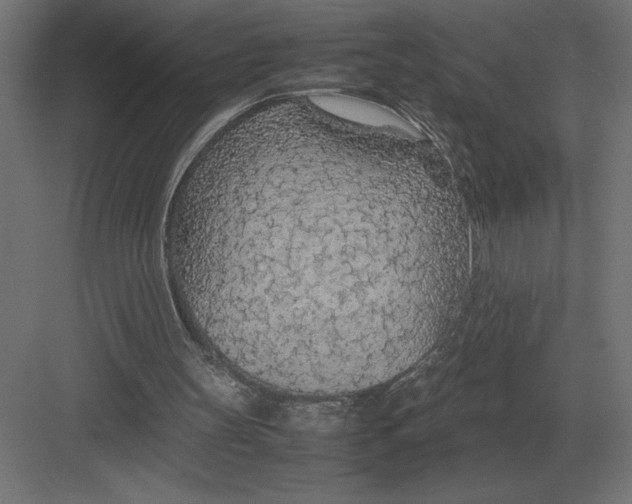 X0000082150147200702092200