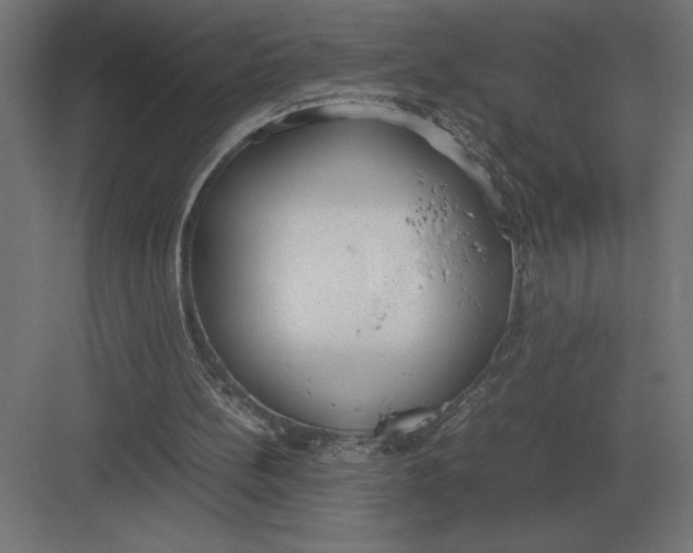 X0000082150148200702092200