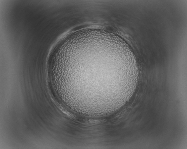 X0000082150149200702092200