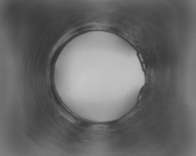 X0000082150150200702092200