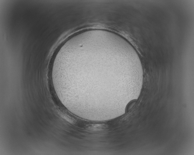 X0000082150151200702092200