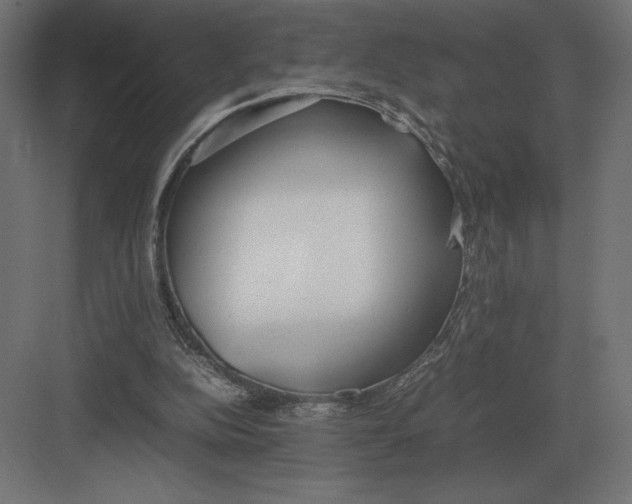 X0000082150152200702092200