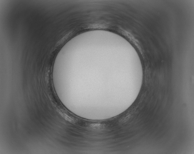 X0000082150153200702092200