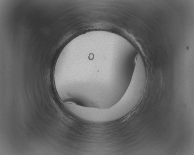 X0000082150154200702092200