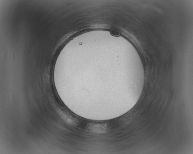 X0000082150155200702092200