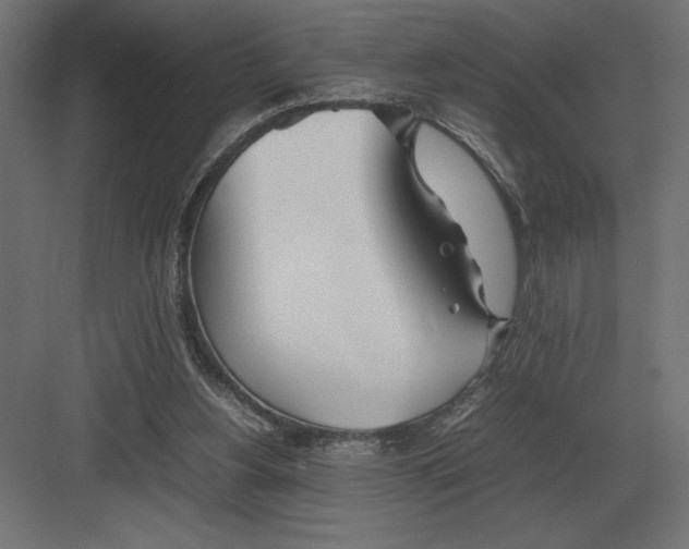 X0000082150156200702092200