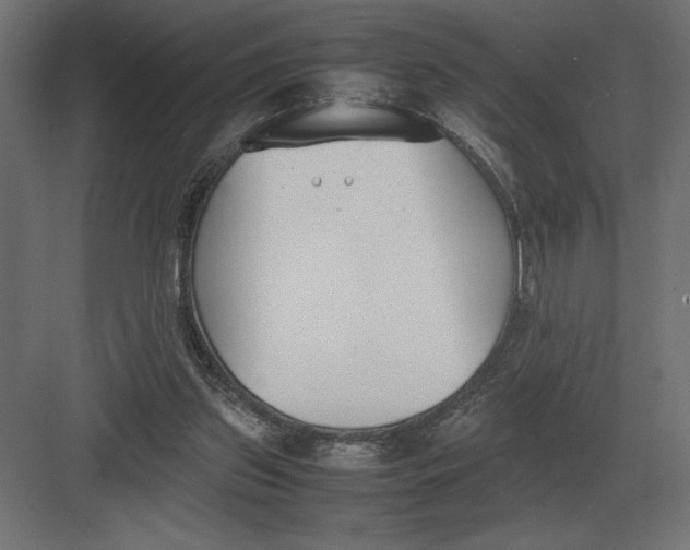 X0000082150157200702092200