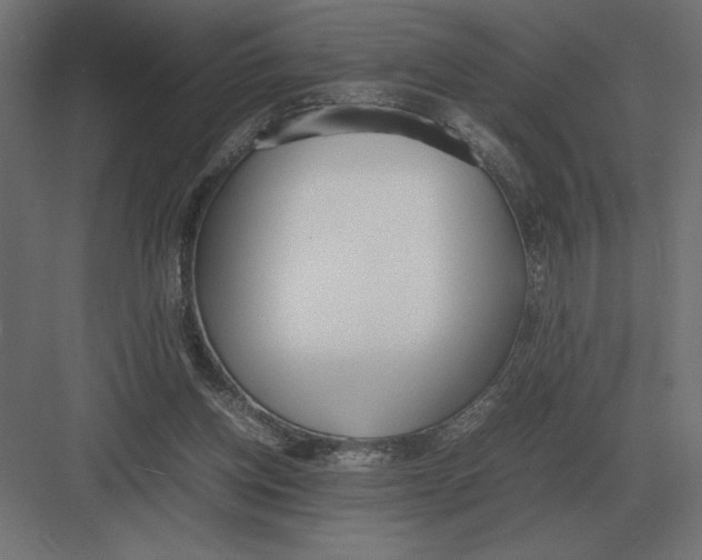 X0000082150158200702092200