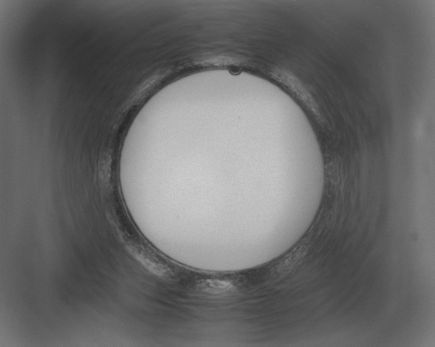 X0000082150159200702092200