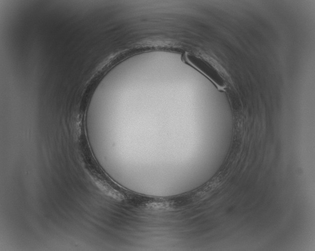 X0000082150160200702092200