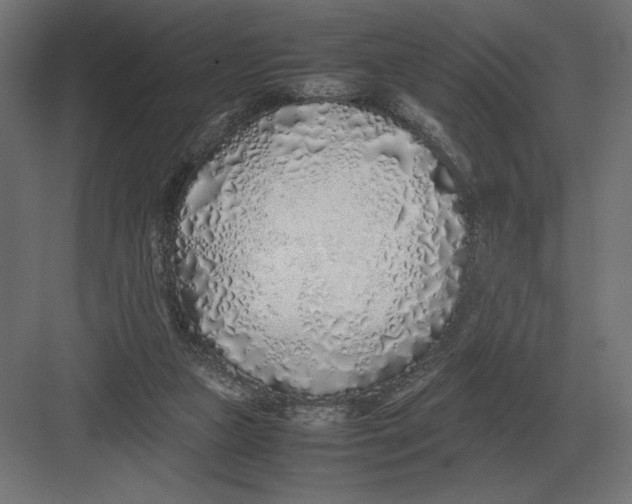 X0000082150161200702092200