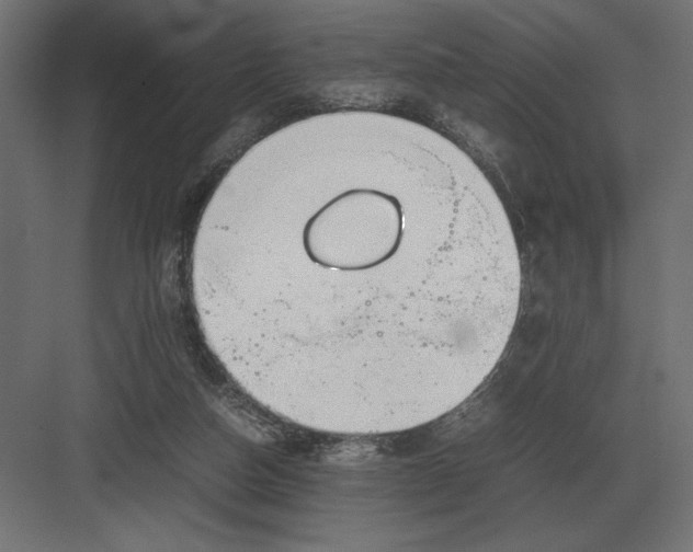 X0000082150162200702092200