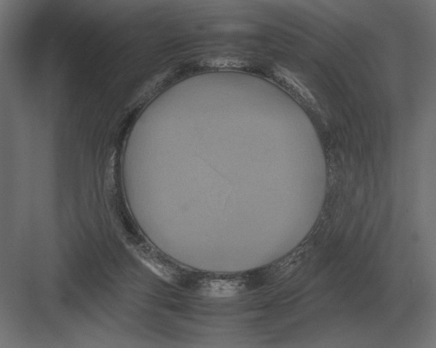 X0000082150163200702092200